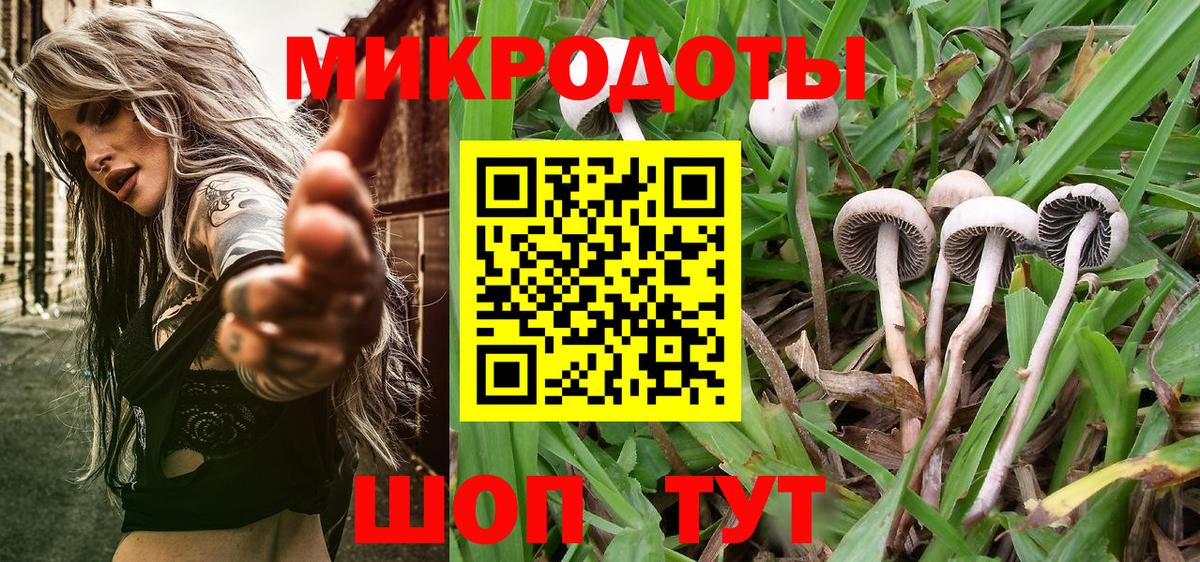Галлюциногенные грибы MAGIC MUSHROOMS  купить наркотик  Чехов  Вход с VPN 