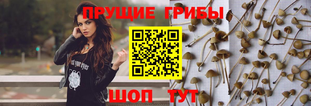 Галлюциногенные грибы Magic Shrooms Чехов