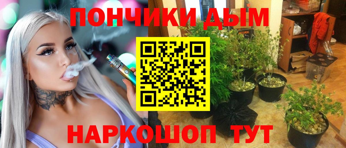 Бошки марихуана план Чехов